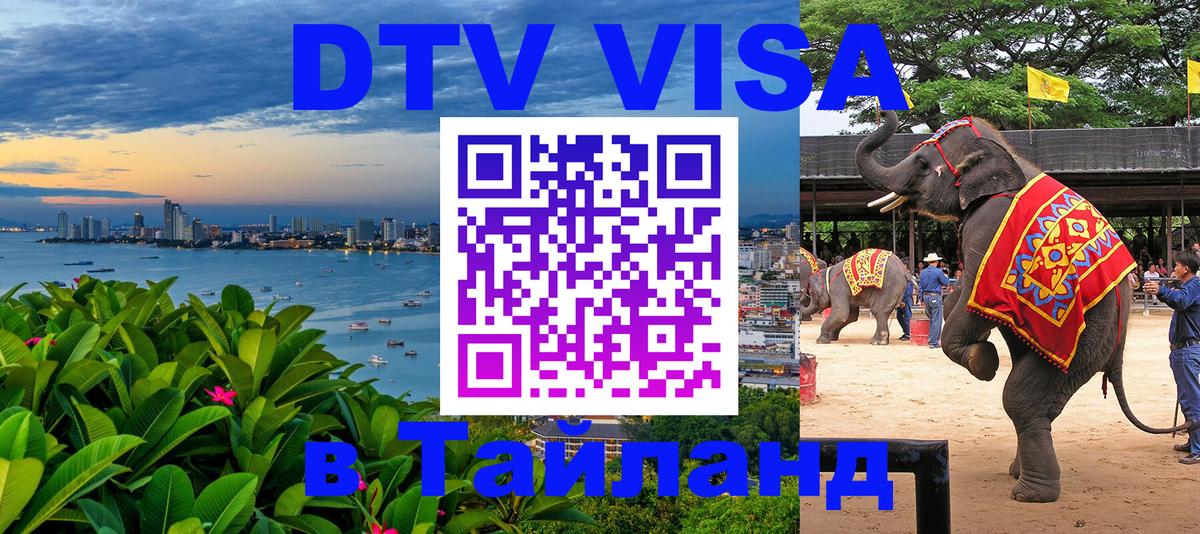 Оформление DTV визы под ключ: стоимость и тарифы, только загранпаспорт - 20.11.2025 